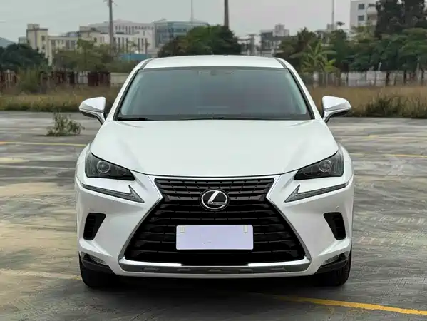 Lexus NX 2020