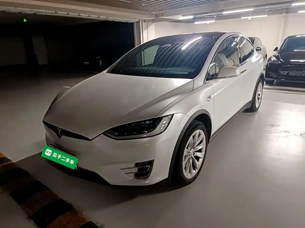 Tesla Model X 2020 — фото 2