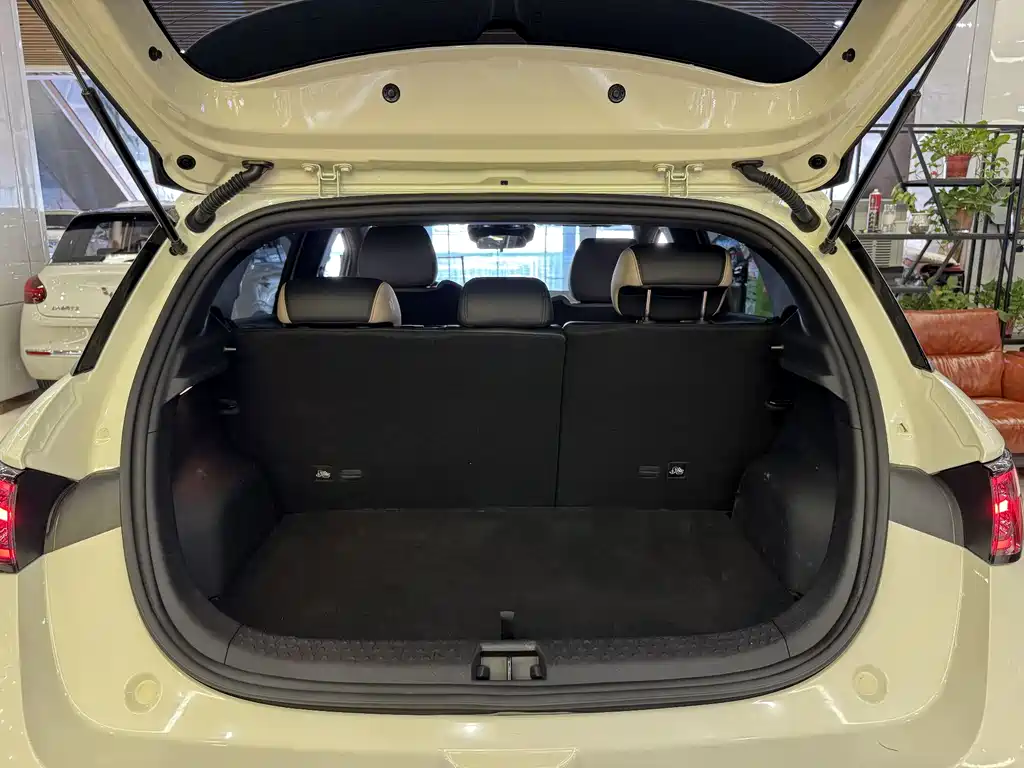 BYD Dolphin 2025