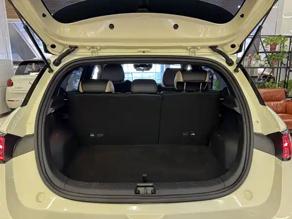 BYD Dolphin 2025