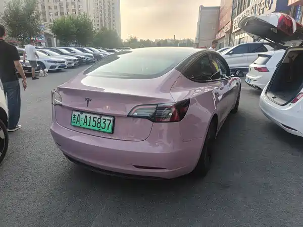 Tesla Model 3 2021