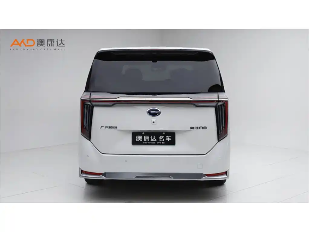 GAC Motor Xiangwang M8 2025 — фото 4