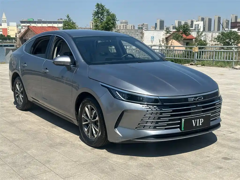 BYD Destroyer 05 2024 — фото 2