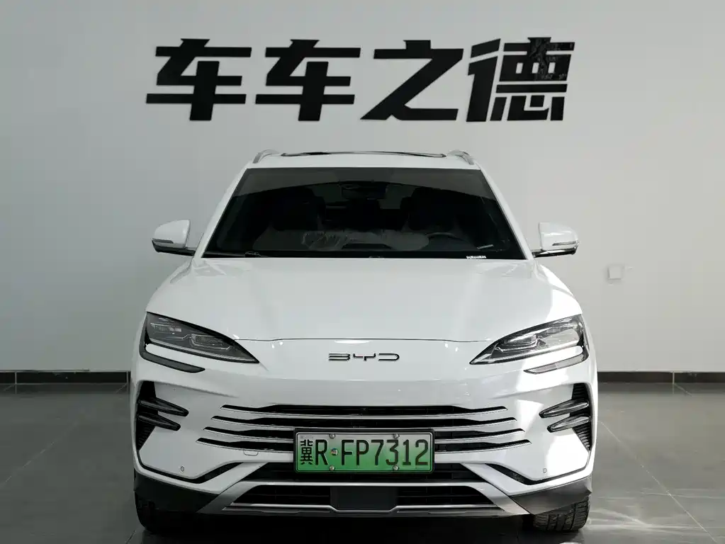 BYD PLUS New Energy 2024 — фото 3