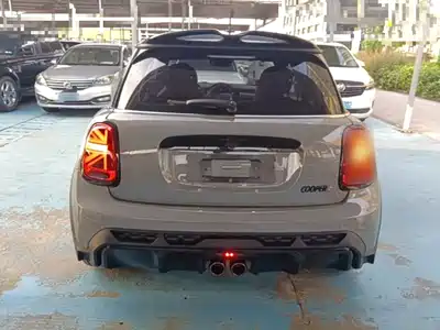 MINI MINI 2021