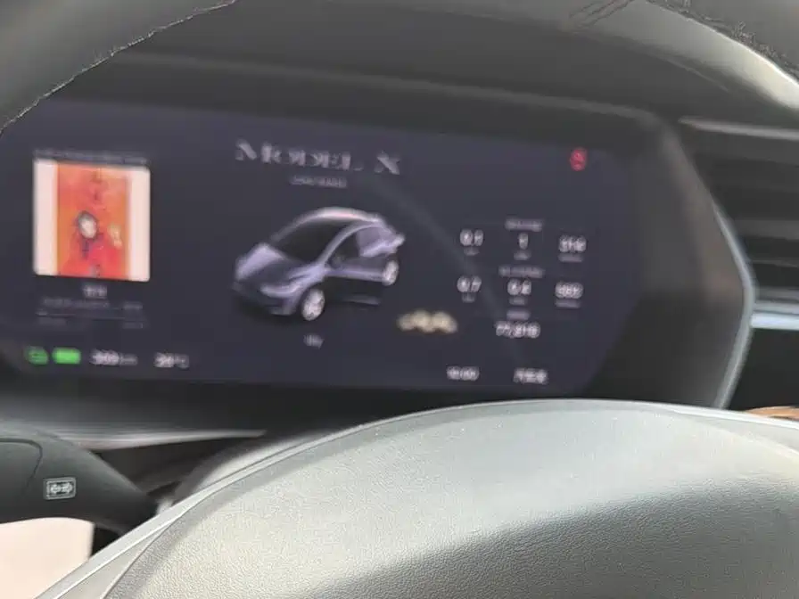 Tesla Model X 2020 — фото 15