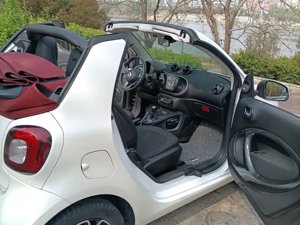 smart fortwo 2019 — фото 15