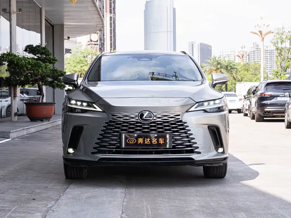 Lexus RX New Energy 2023 — фото 2