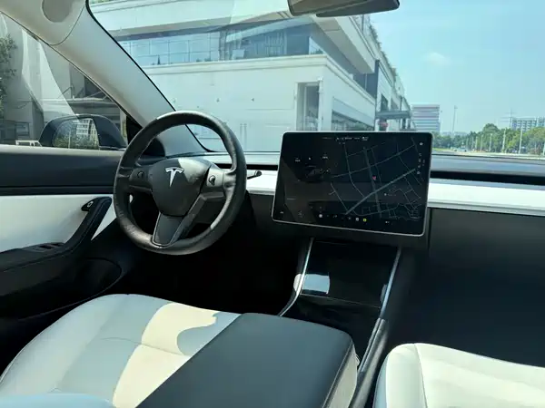 Tesla Model 3 2019