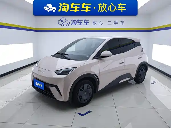 BYD Seagull 2024