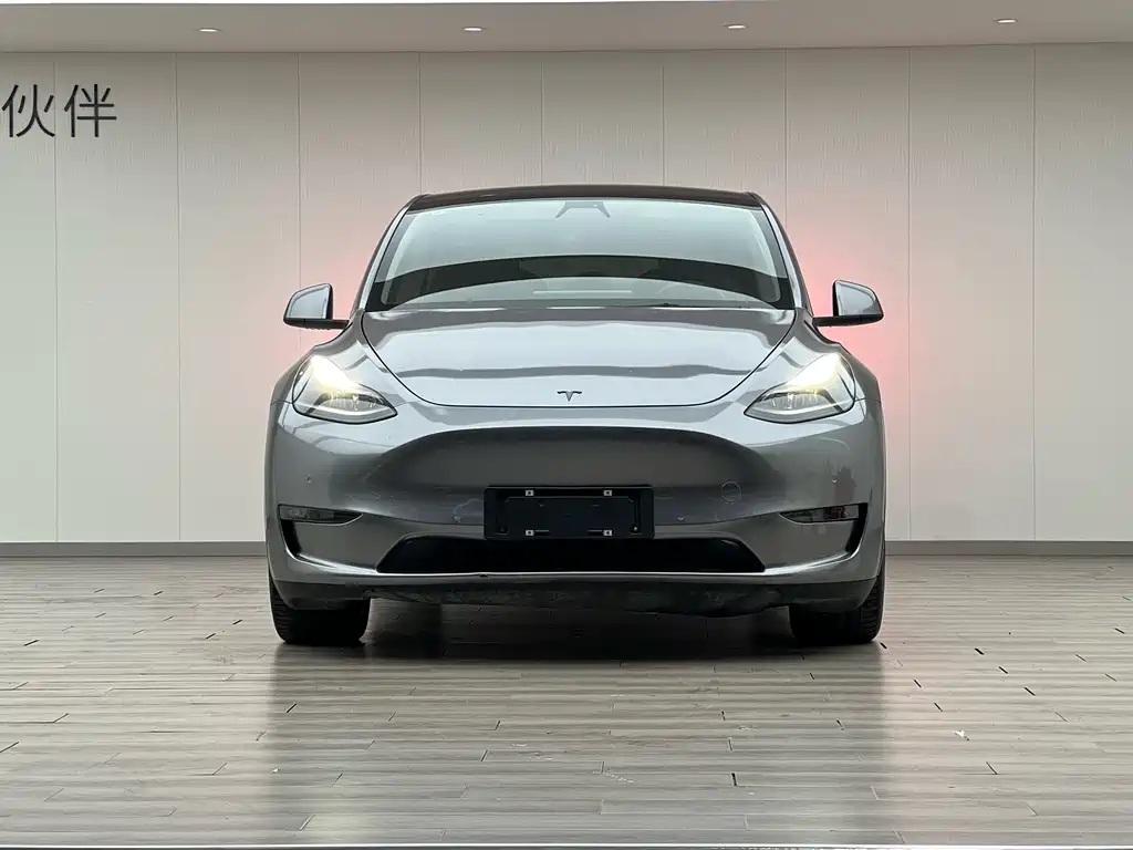 Tesla Model Y 2021 — фото 3