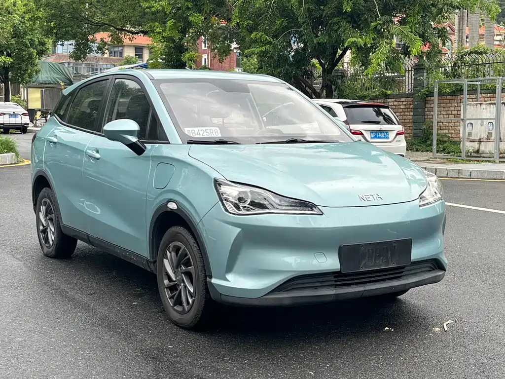 Neta V 2020