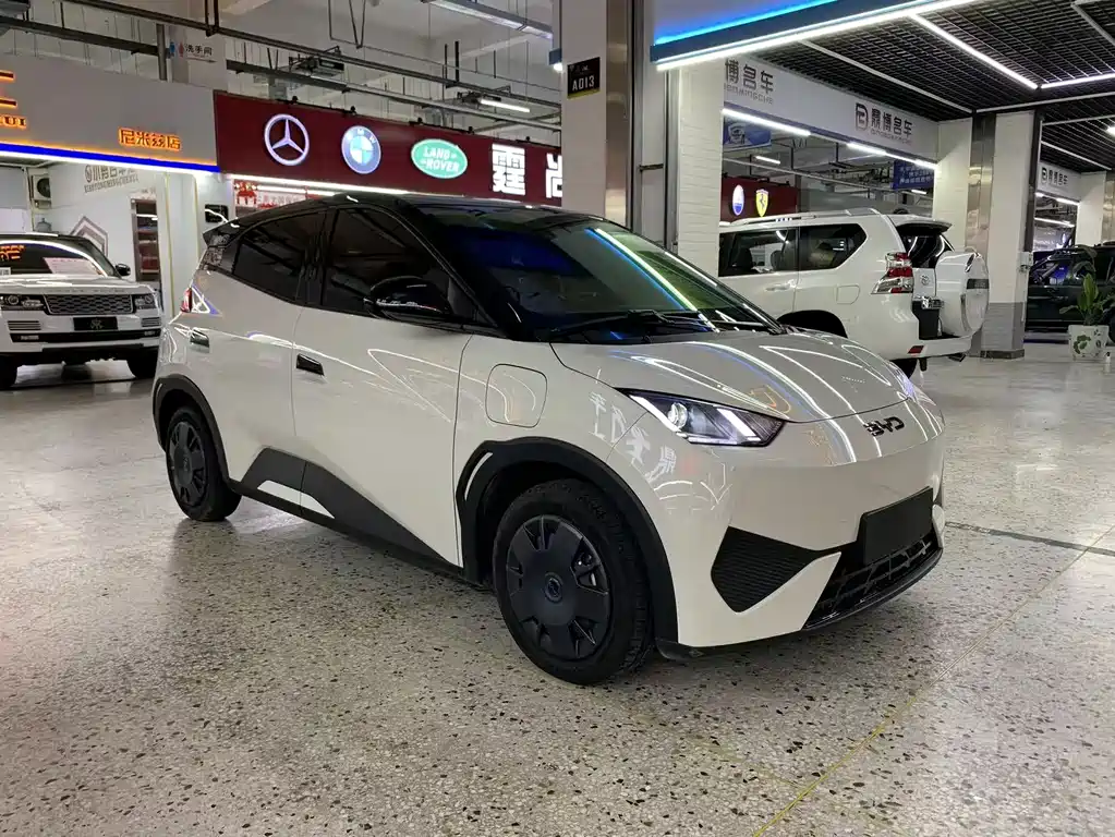 BYD Seagull 2025