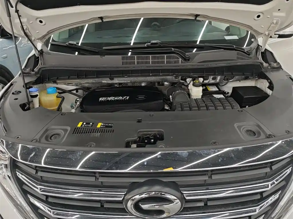 GAC Motor Trumpchi M8 2024 — фото 20