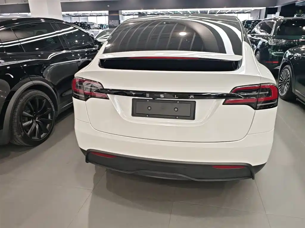 Tesla Model X 2023 — фото 6