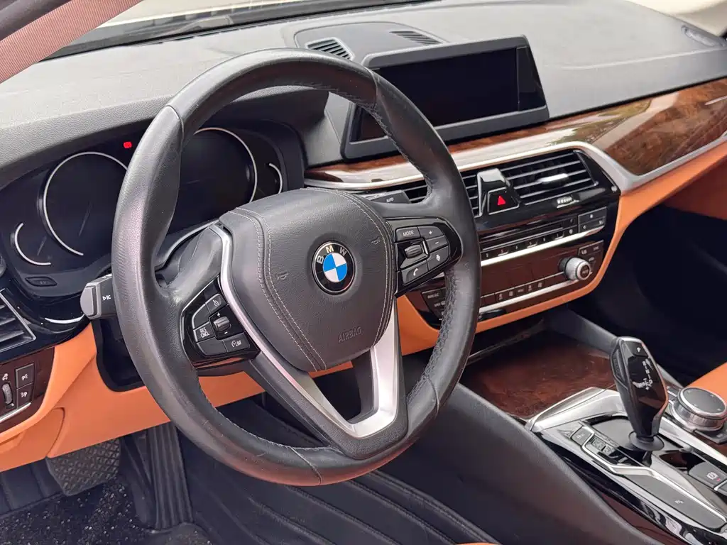 BMW 5 Series 2018 — фото 8