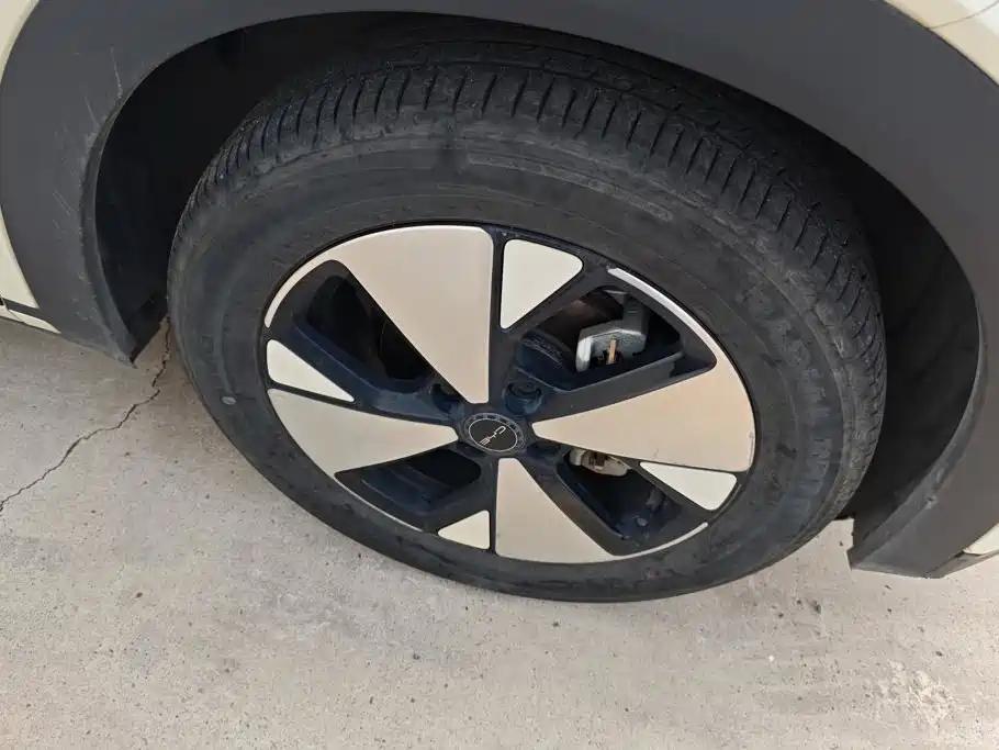 BYD Dolphin 2023