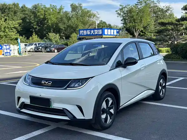 BYD Dolphin 2025