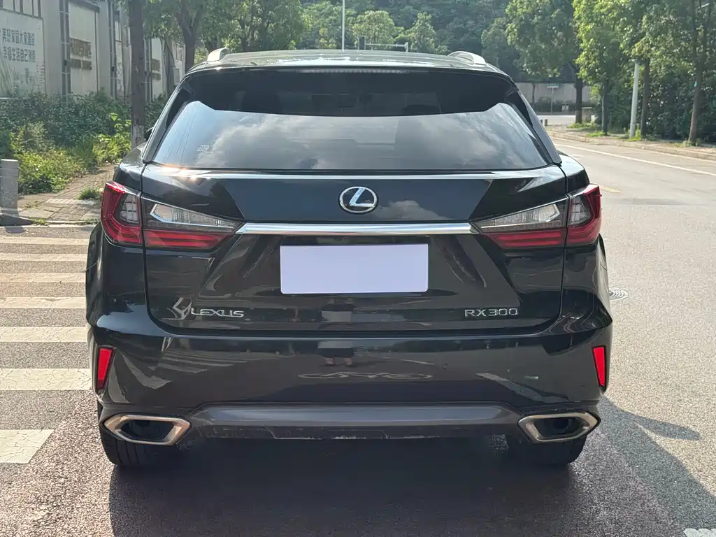 Lexus RX 2019 — фото 5