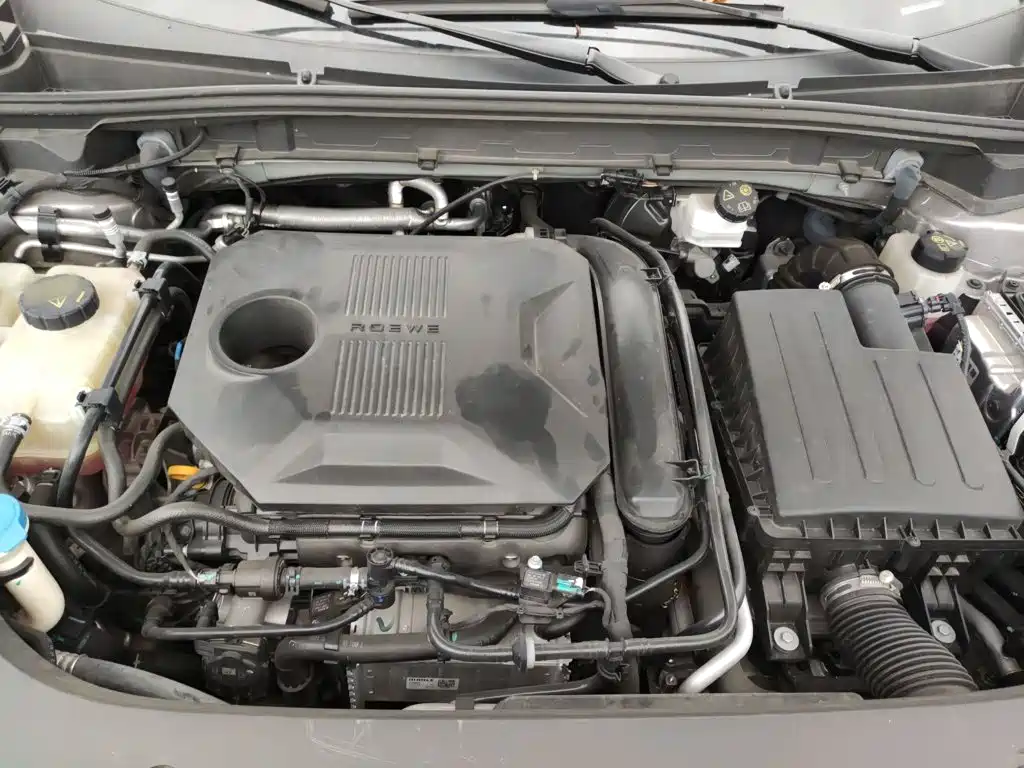 Roewe RX5 New Energy 2023 — фото 13
