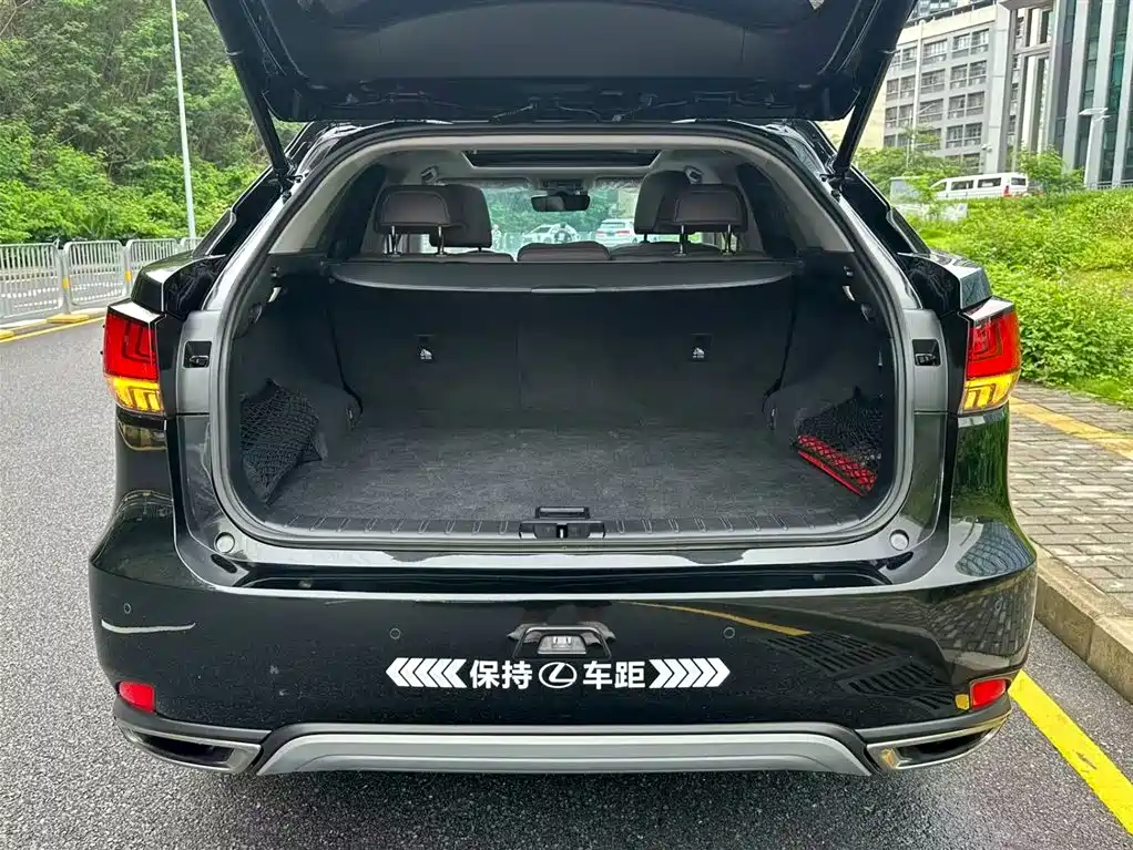 Lexus RX 2022 — фото 17