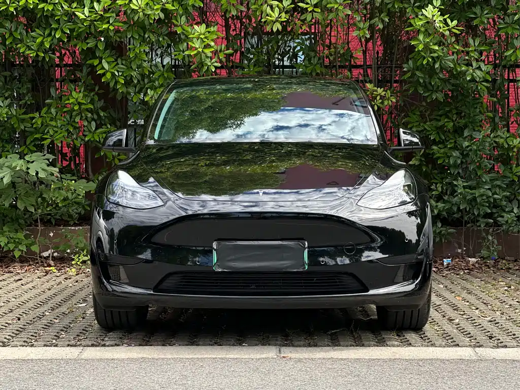 Tesla Model Y 2023 — фото 2