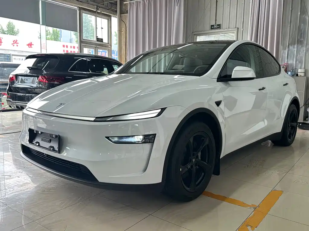 Tesla Model Y 2025 — фото 1