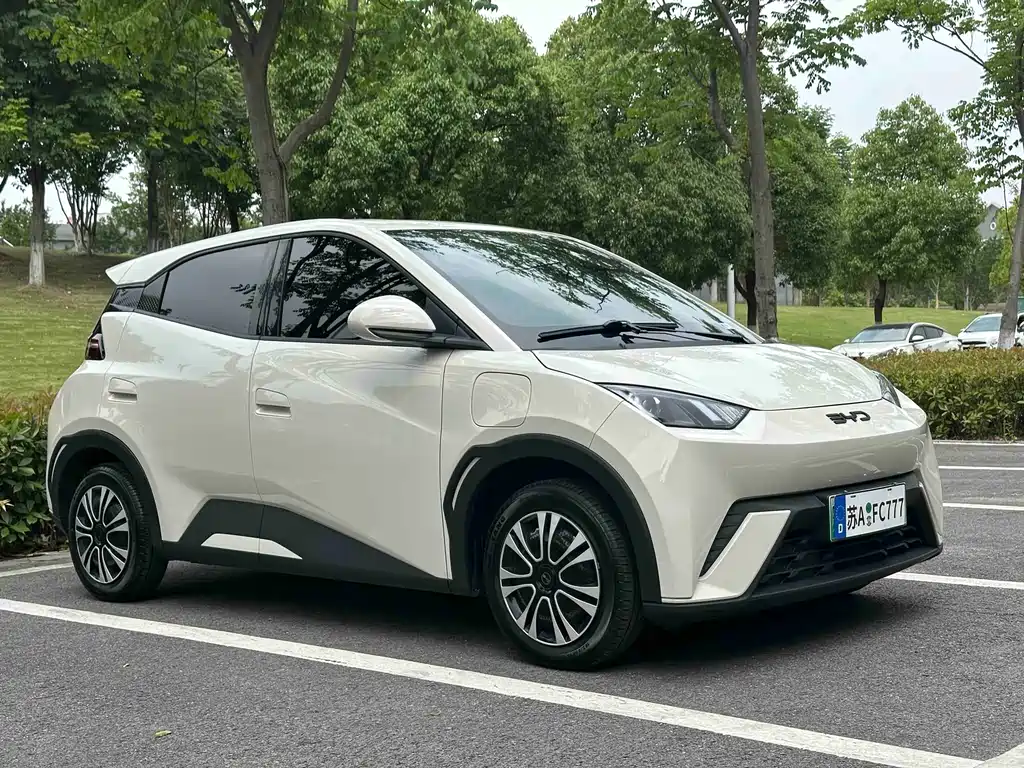 BYD Seagull 2024