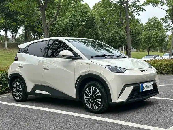 BYD Seagull 2024
