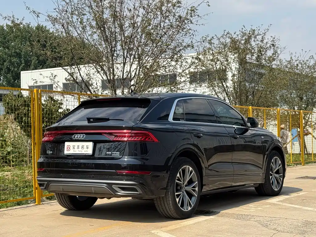 Audi Q8 2021 — фото 11