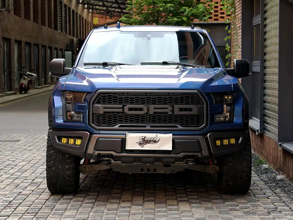 Ford F-150 Raptor 2020 — фото 11