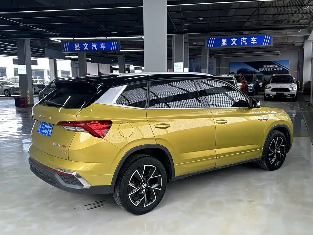 Skoda Kamiq 2020 — фото 9