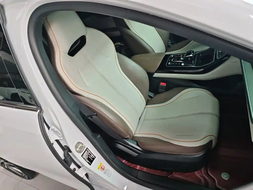 BYD Qin PLUS 2024 — фото 20