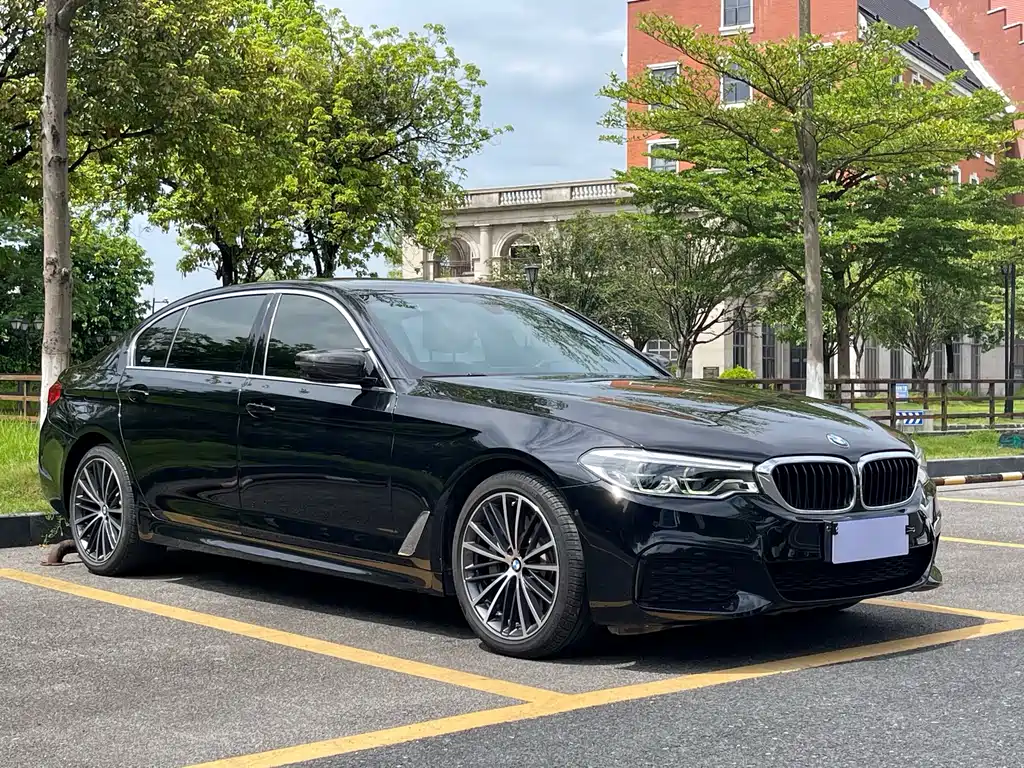 BMW 5 Series 2019