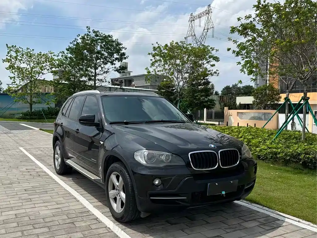BMW X5 2010
