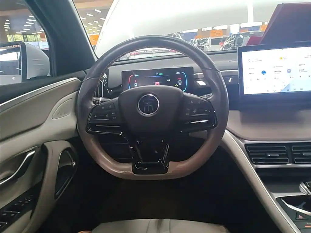 BYD Pro New Energy 2024 — фото 11