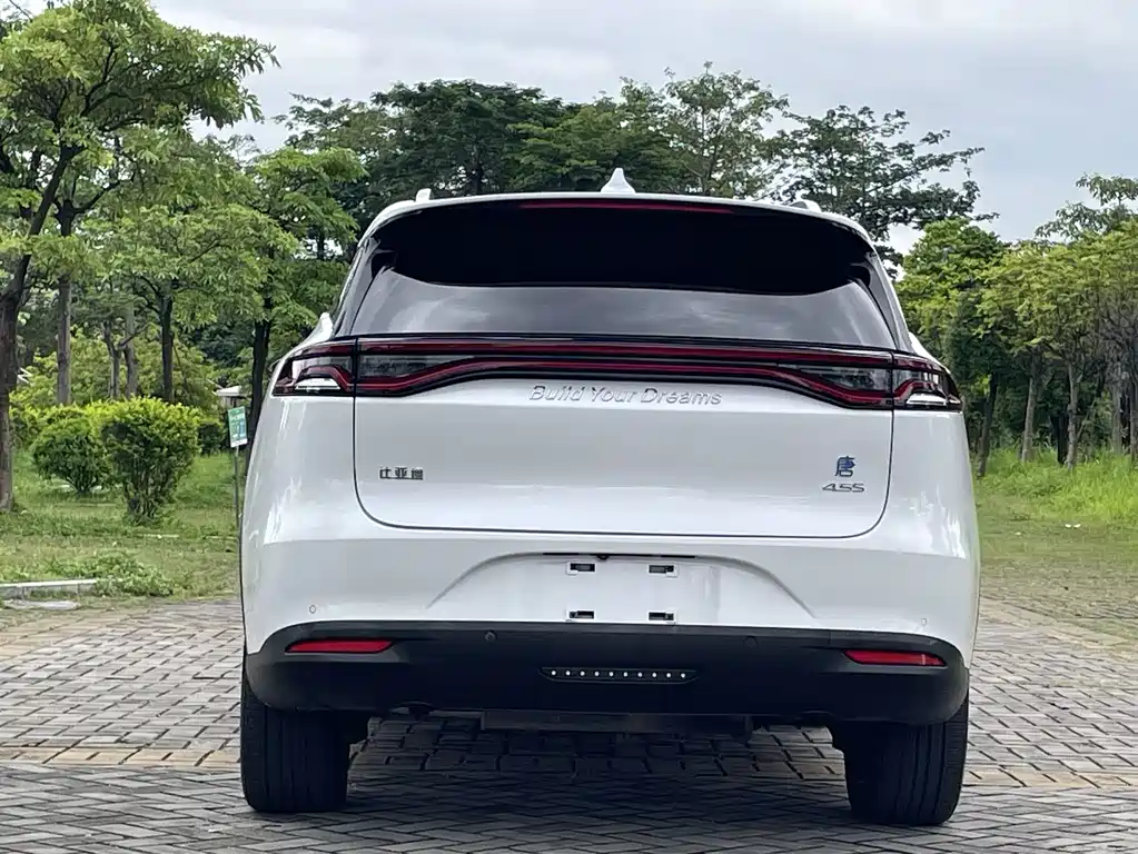 BYD Tang New Energy 2019 — фото 9