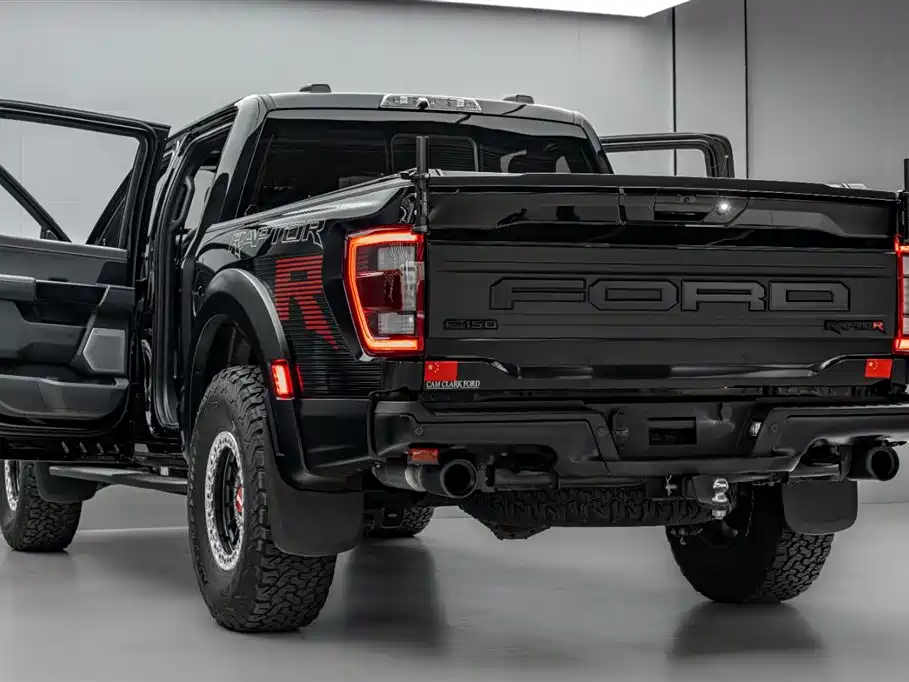 Ford F-150 Raptor 2024 — фото 46