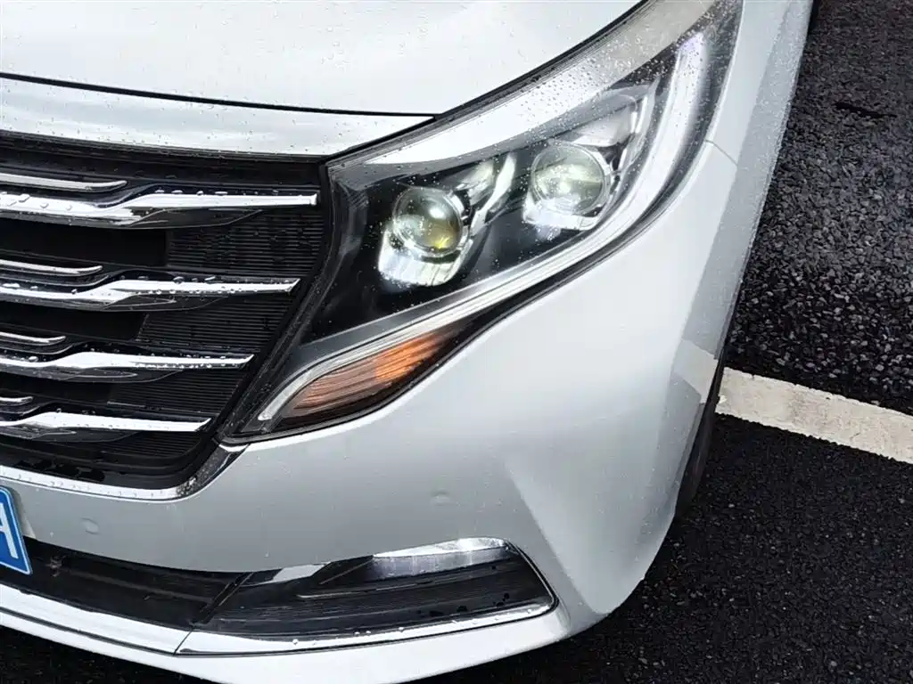 GAC Motor Trumpchi M8 2019 — фото 24
