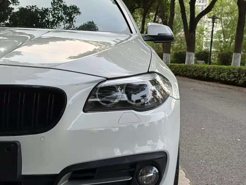 BMW 5 Series 2015 — фото 8