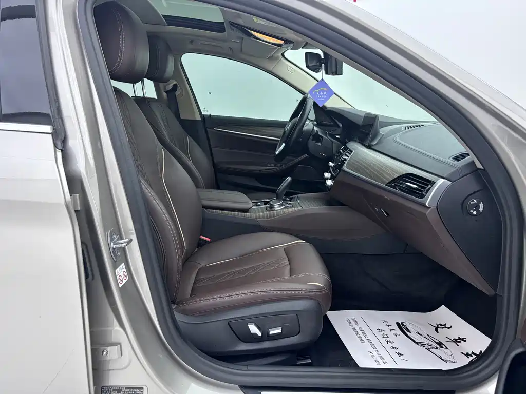 BMW 5 Series New Energy 2019