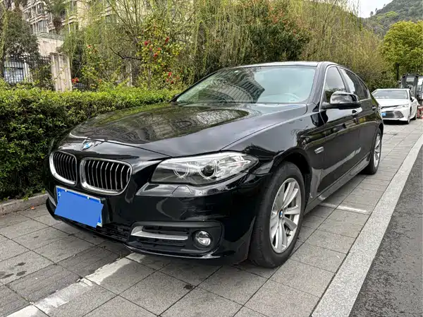 BMW 5 Series 2014