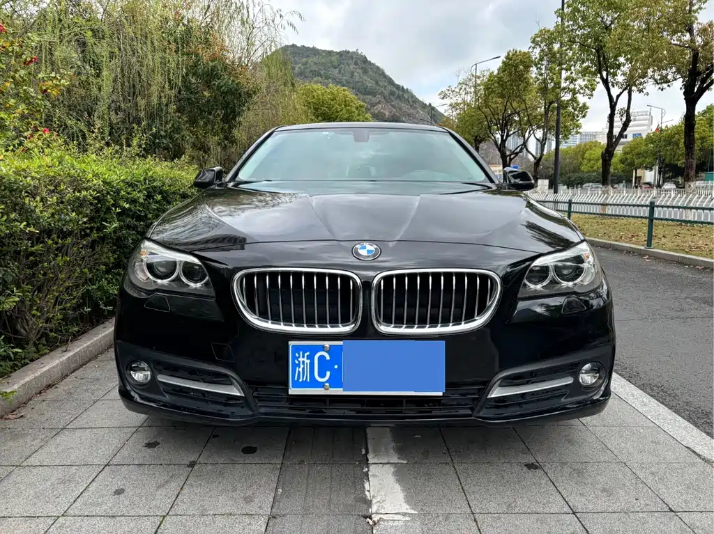 BMW 5 Series 2016 — фото 2