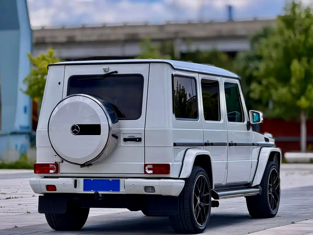 Mercedes-Benz G-Class 2013 — фото 6
