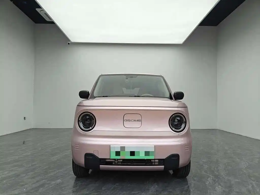 Galaxy Panda 2025 — фото 2