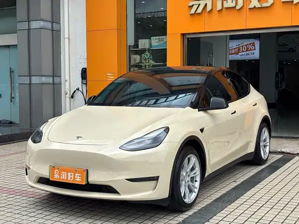 Tesla Model Y 2021