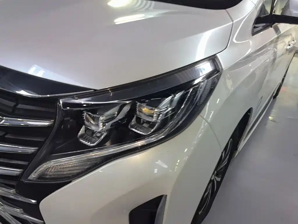 GAC Motor Trumpchi M8 2023 — фото 24
