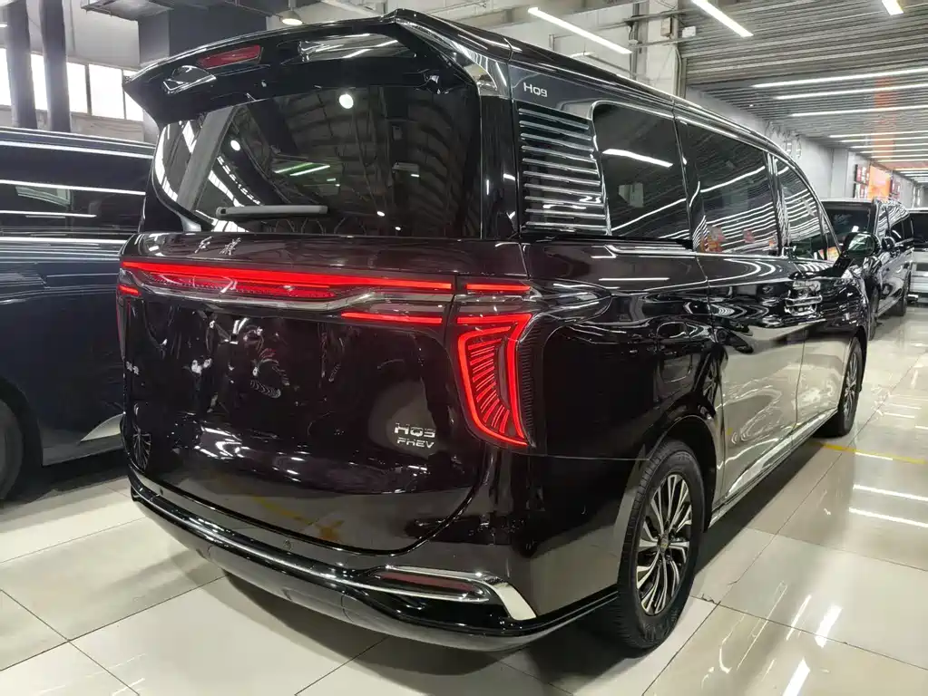 Hongqi HQ9 PHEV 2024 — фото 10