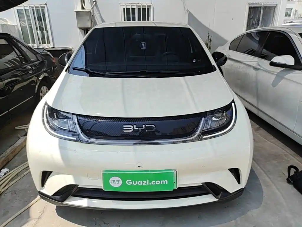 BYD Dolphin 2026