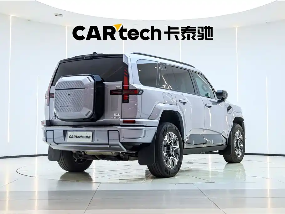 Mengshi M817 2025
